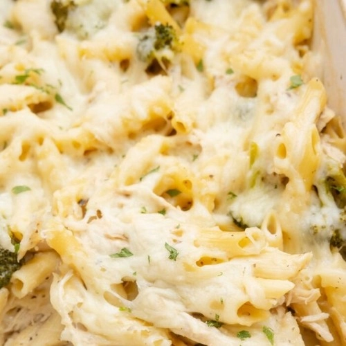 Chicken Alfredo